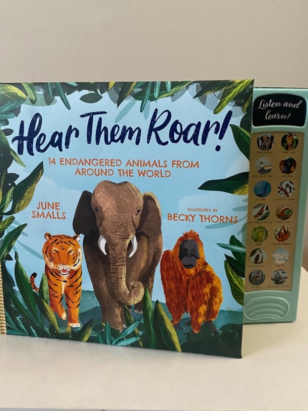Animal Sound Book 🖤3 for 10🖤